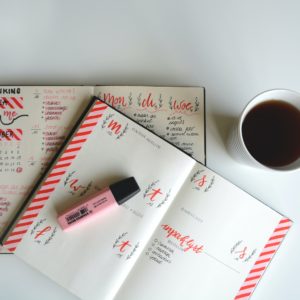 PRO TEAM A1 - 1 TRIMESTRE-