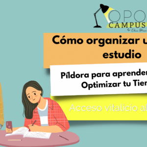 Cómo organizar un día de estudio